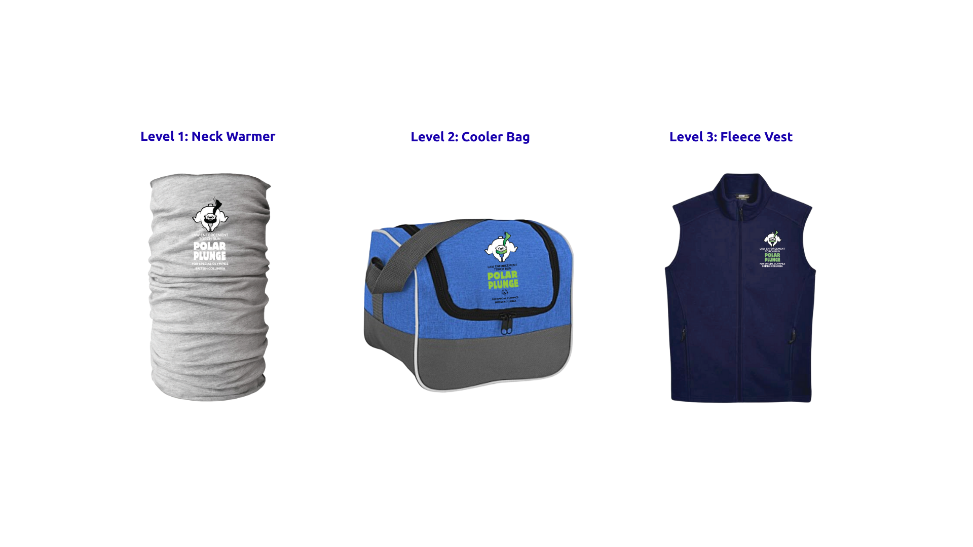 PP Mockups - All Levels.png