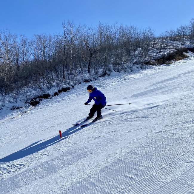 An action shot photo of an alpine skier going down the hill. The skier is a medium distance away from the camera and you can see the snow blowing behind their skis. In the distance behind the skier, you can see trees alongside the hill.