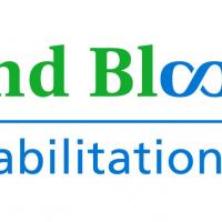 Hollandbloorview logo