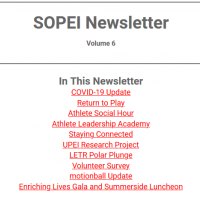 SOPEI newsletter Volume 6